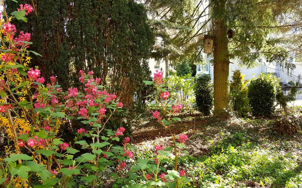 Ferienhaus Sanssouci Stahnsdorf Luaran gambar
